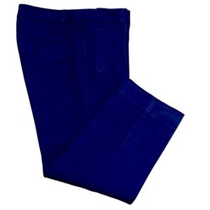 LOFT WOMENS COTTON CAPRI PANTS PURPLE SIZE 6